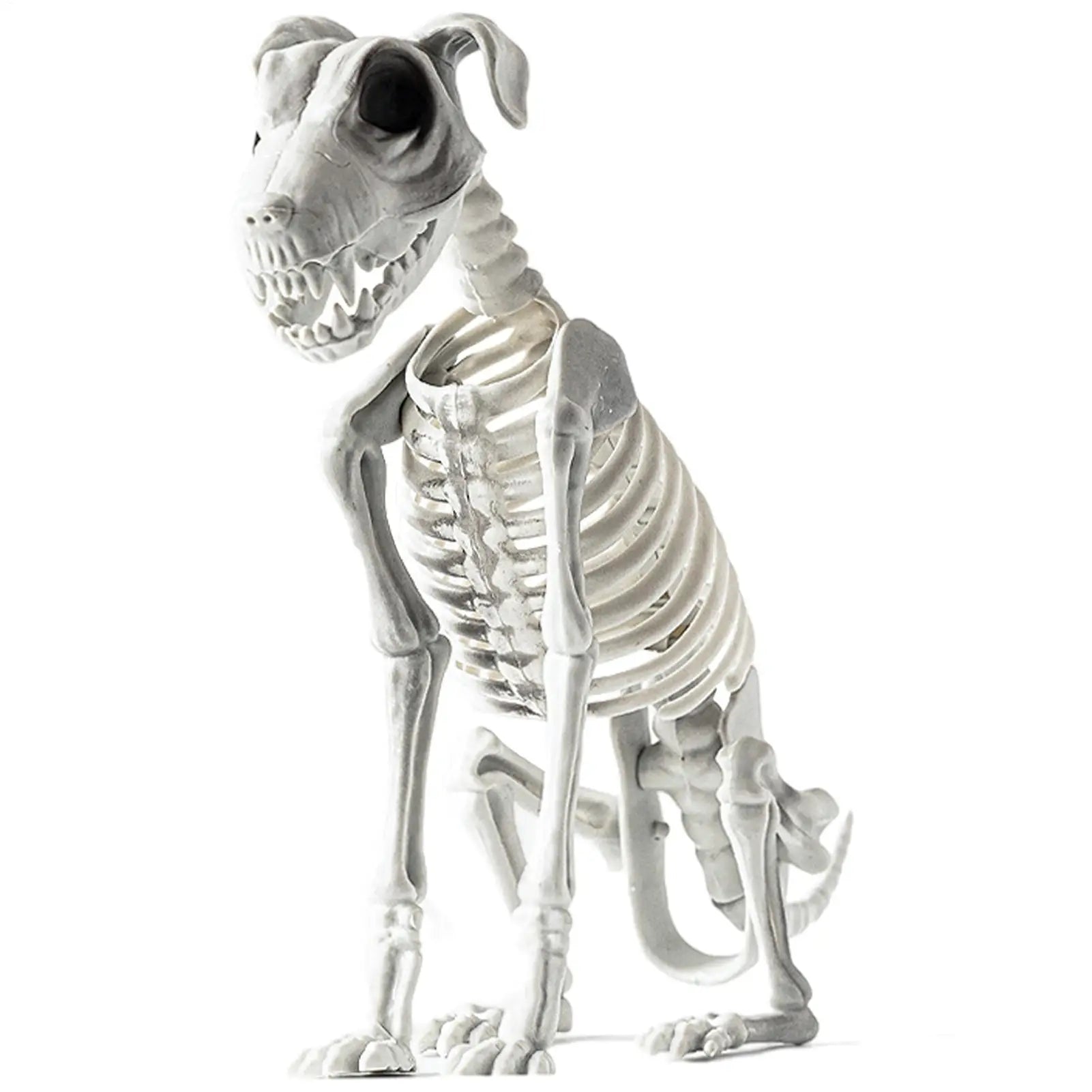 Halloween Skeleton Dog Spooky Skeleton Animal Realistic Halloween Skeleton Dog Statue Skull Bone Art Ornaments Horror Props