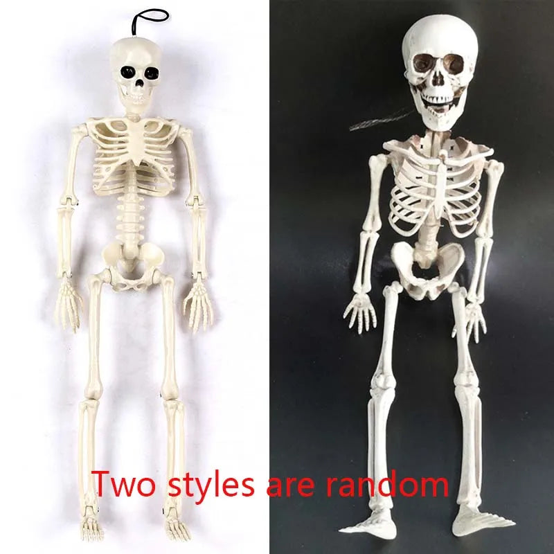 40cm Halloween Skull Skeleton,Posable SkeletonHuman Shape Bones Party Home Haunted House Horror Decorations Props
