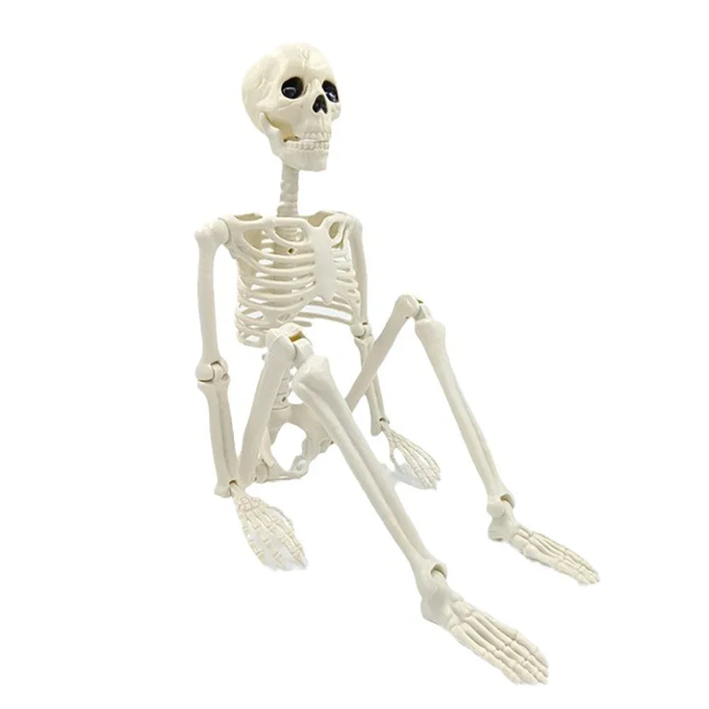 40cm Halloween Skull Skeleton,Posable Skeleton,Human Shape Bones,Halloween Herror Decorations,Haunted House Horror Props