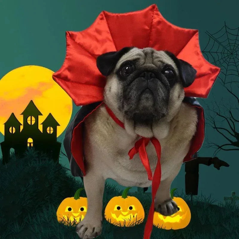 Halloween Pet Costumes Cute Cosplay Vampire Cloak For Small Dog Cat Kitten Puppy Dress Kawaii Pet Clothes Cat Accessoties