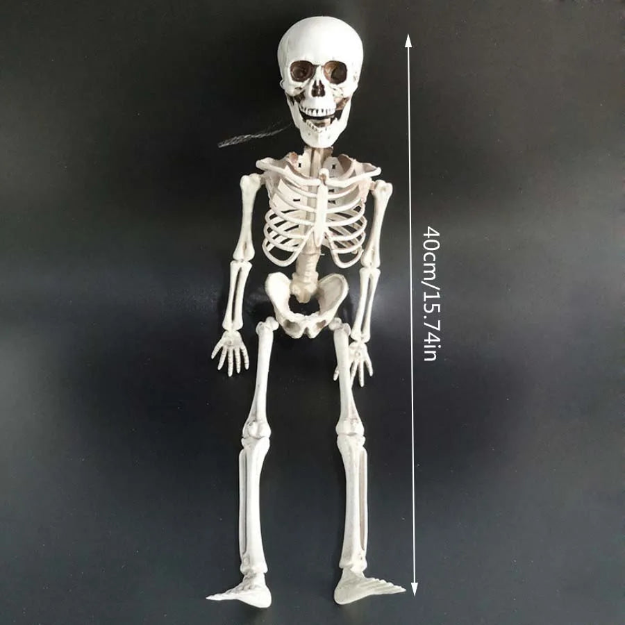 40cm Halloween Skull Skeleton,Posable SkeletonHuman Shape Bones Party Home Haunted House Horror Decorations Props