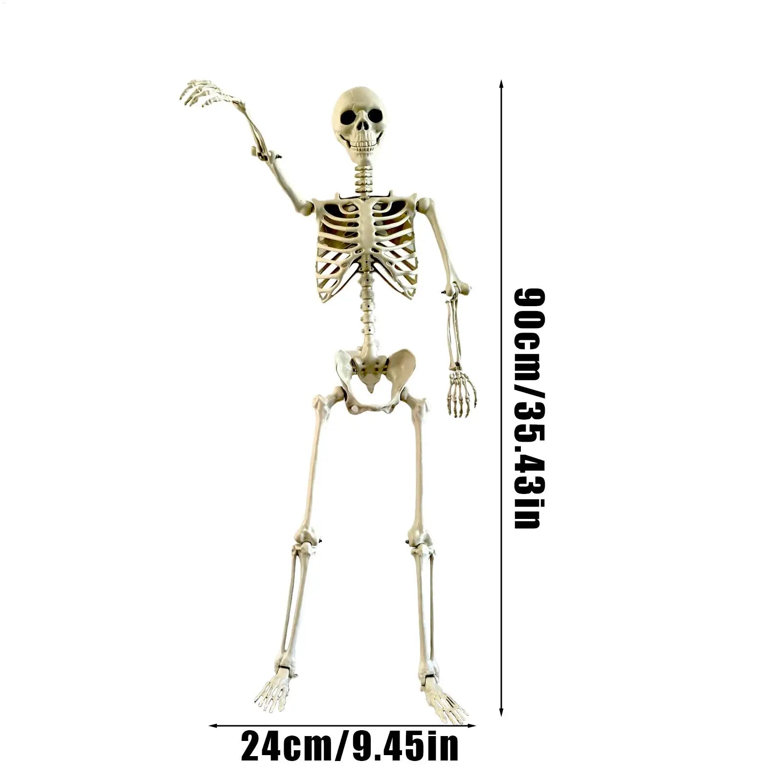Halloween Realistic Body Bones Life Size Human Skeleton with Posable Joints Simulation Skull Ornament Haunted House Horror Props