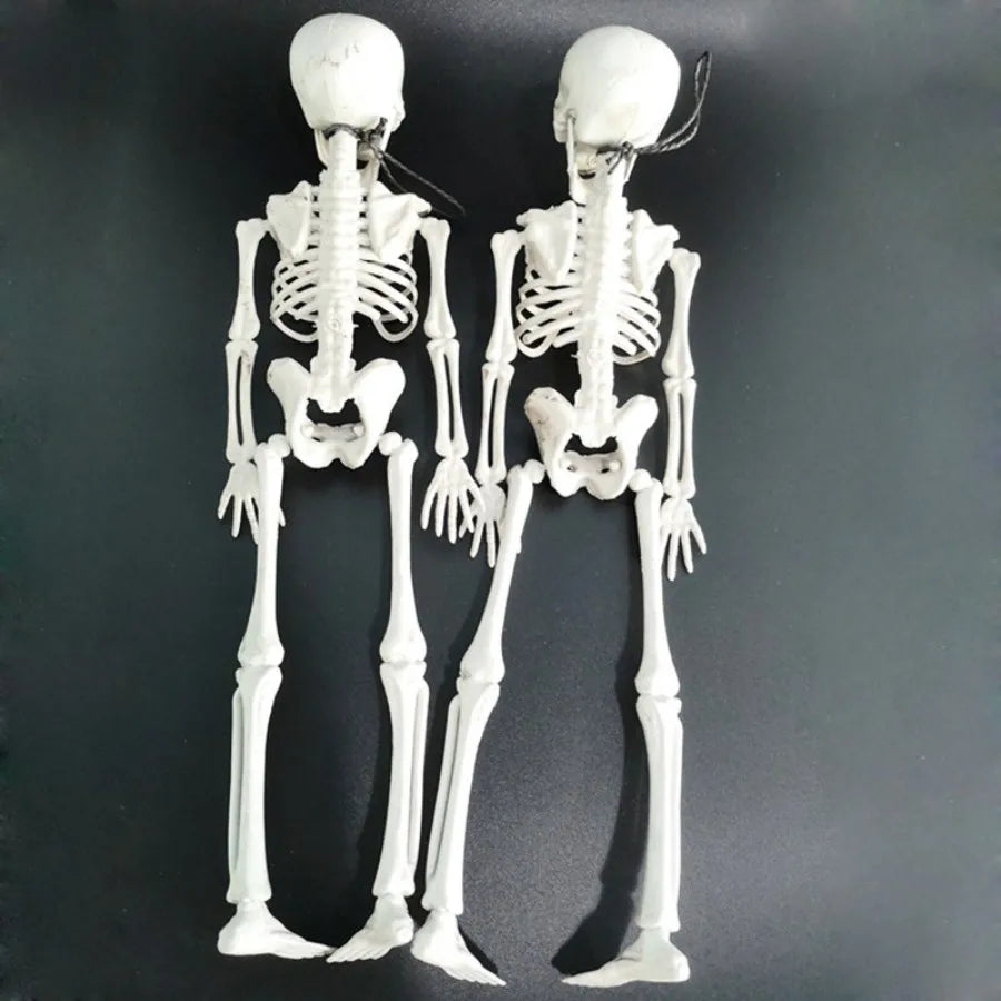 40cm Halloween Skull Skeleton,Posable SkeletonHuman Shape Bones Party Home Haunted House Horror Decorations Props