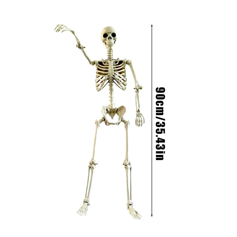 Halloween Realistic Body Bones Life Size Human Skeleton with Posable Joints Simulation Skull Ornament Haunted House Horror Props