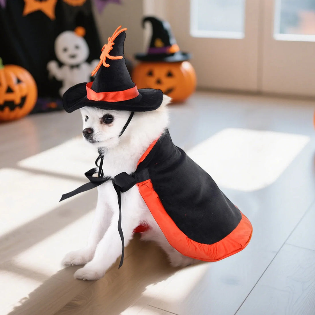 Halloween Pet Costume With Witch Hat Small Dog Cat Party Cosplay Cloak Pet Clothes Accessories Photo Prop Festival Suit