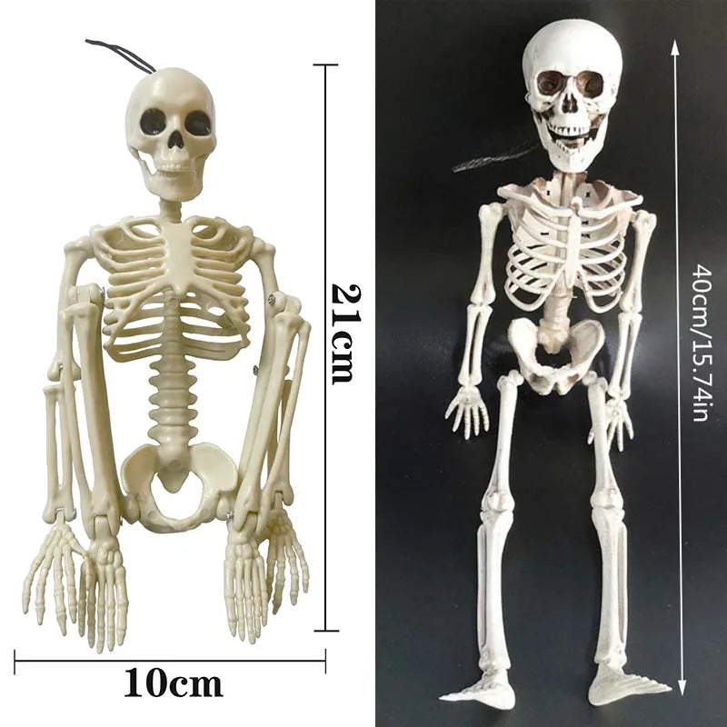 40cm Halloween Skull Skeleton,Posable SkeletonHuman Shape Bones Party Home Haunted House Horror Decorations Props