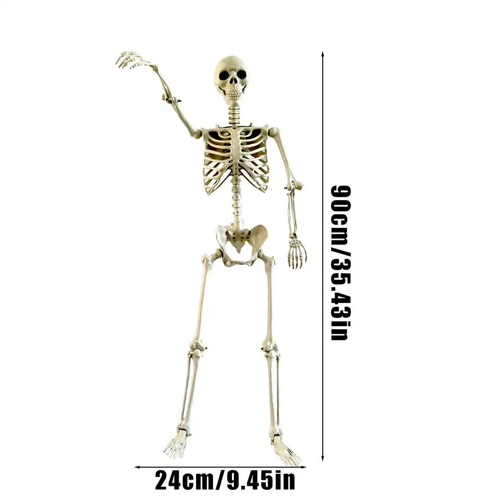 Halloween Skeleton Life Size Human Skeleton With Posable Joints Weather-Resistant Outdoor Decorations Spooky Photo Props Party