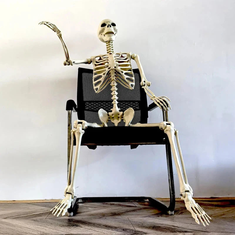 Halloween Realistic Body Bones Life Size Human Skeleton with Posable Joints Simulation Skull Ornament Haunted House Horror Props