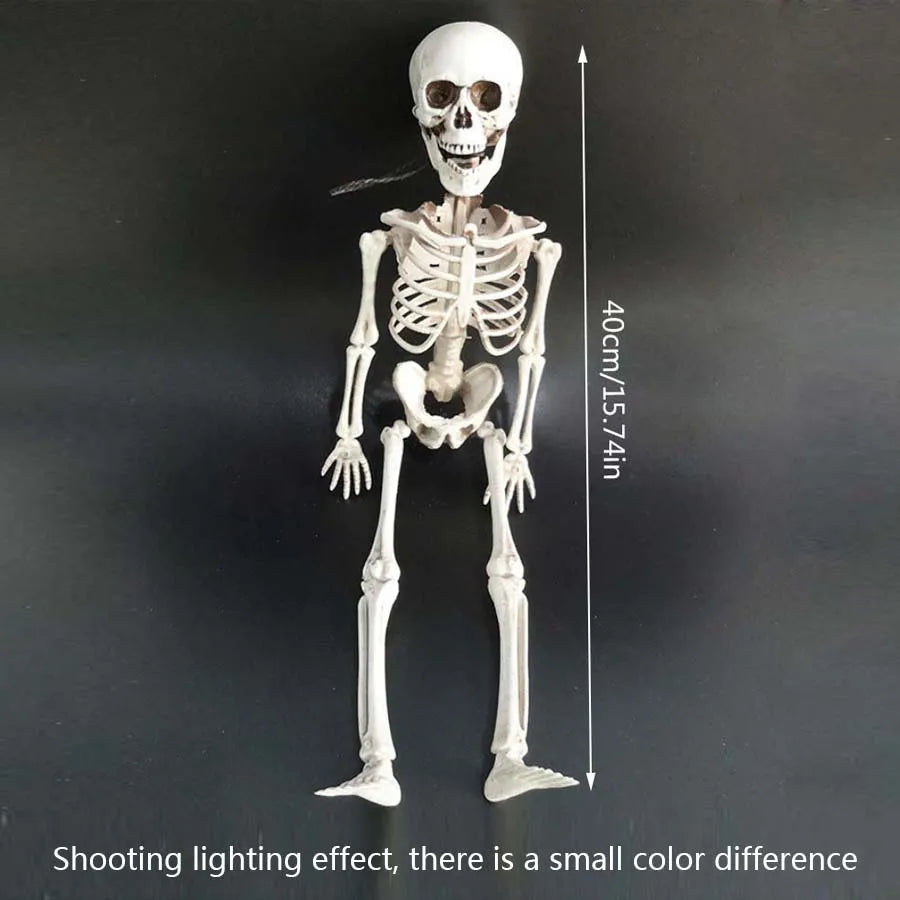 40cm Halloween Skull Skeleton,Posable SkeletonHuman Shape Bones Party Home Haunted House Horror Decorations Props