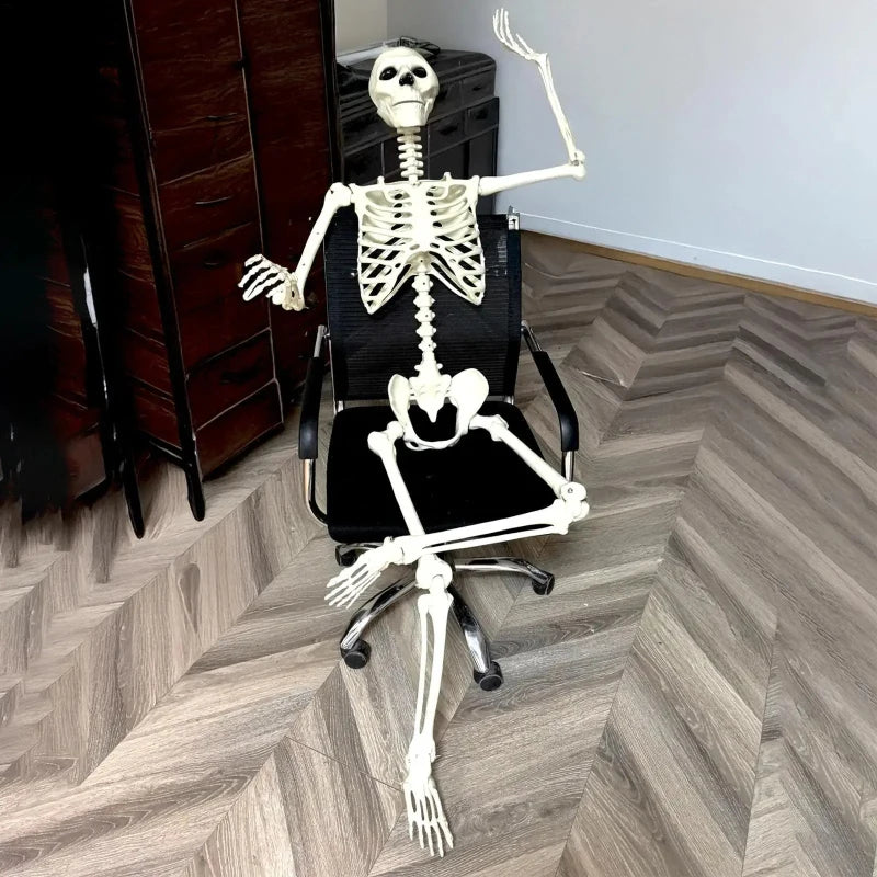 Halloween Realistic Body Bones Life Size Human Skeleton with Posable Joints Simulation Skull Ornament Haunted House Horror Props