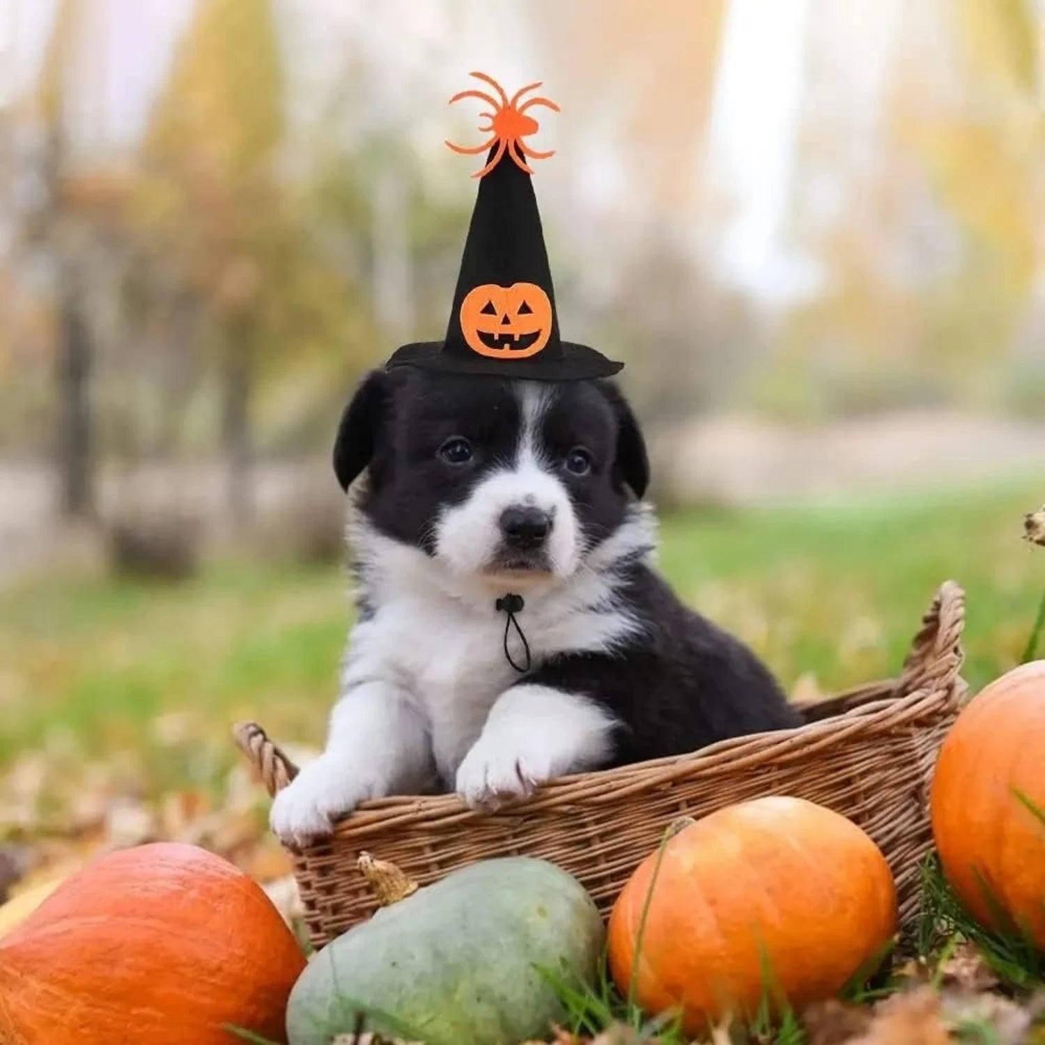 Halloween Pet Costume Set Adjustable Pumpkin Wizard Hat & Tie Pet Cosplay Clothes for Cat Dog Rabbit Hedgehog Chinchilla Ferret