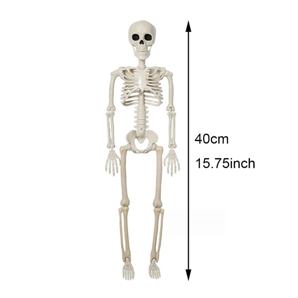 40cm Halloween Skull Skeleton,Posable Skeleton,Human Shape Bones,Halloween Herror Decorations,Haunted House Horror Props