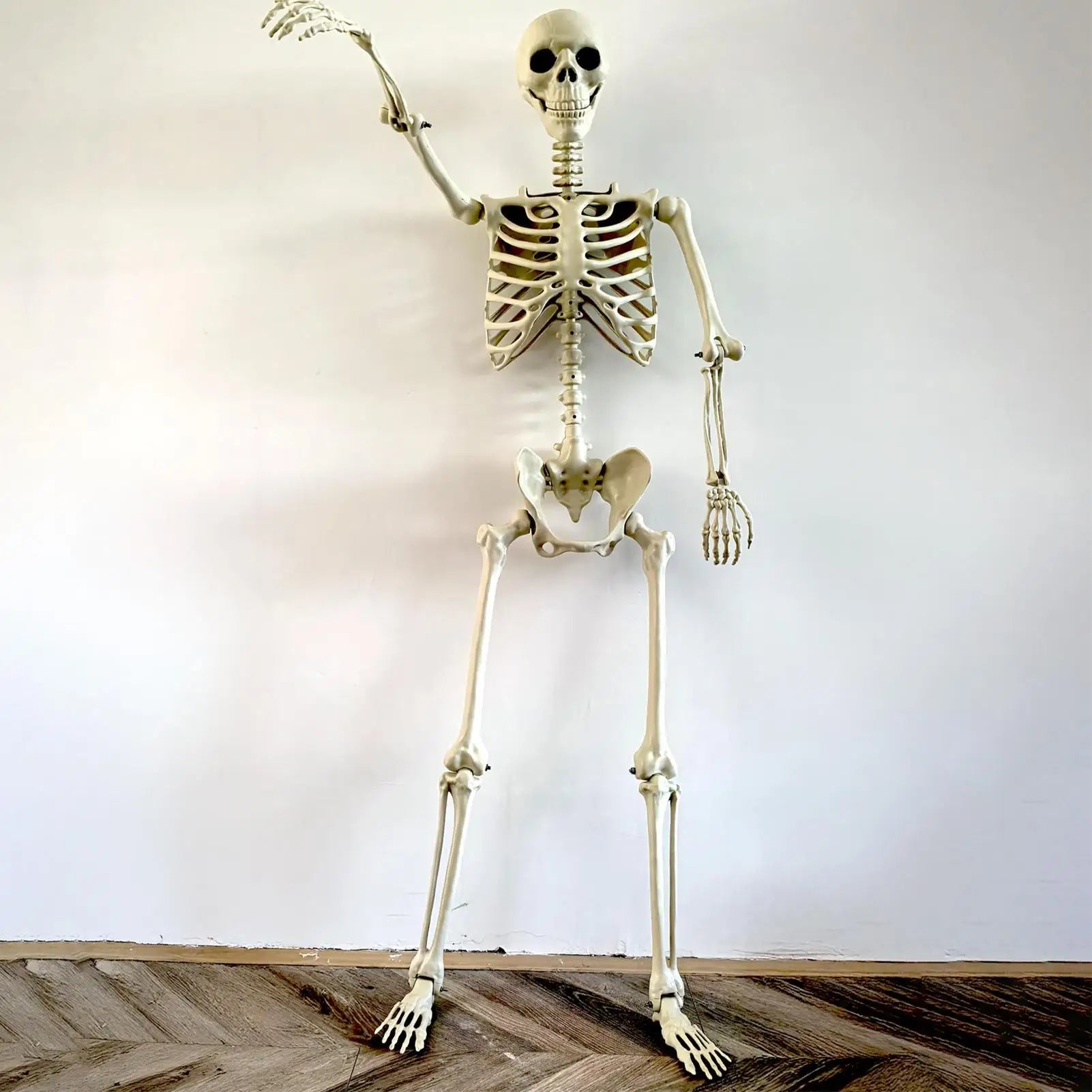 Halloween Skeleton Life Size Human Skeleton With Posable Joints Weather-Resistant Outdoor Decorations Spooky Photo Props Party