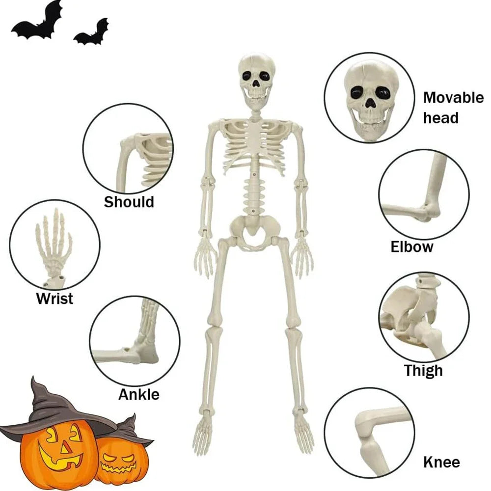 40cm Halloween Skull Skeleton,Posable Skeleton,Human Shape Bones,Halloween Herror Decorations,Haunted House Horror Props