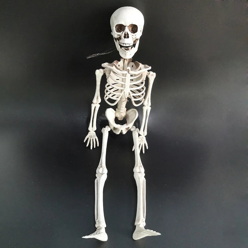 40cm Halloween Skull Skeleton,Posable SkeletonHuman Shape Bones Party Home Haunted House Horror Decorations Props