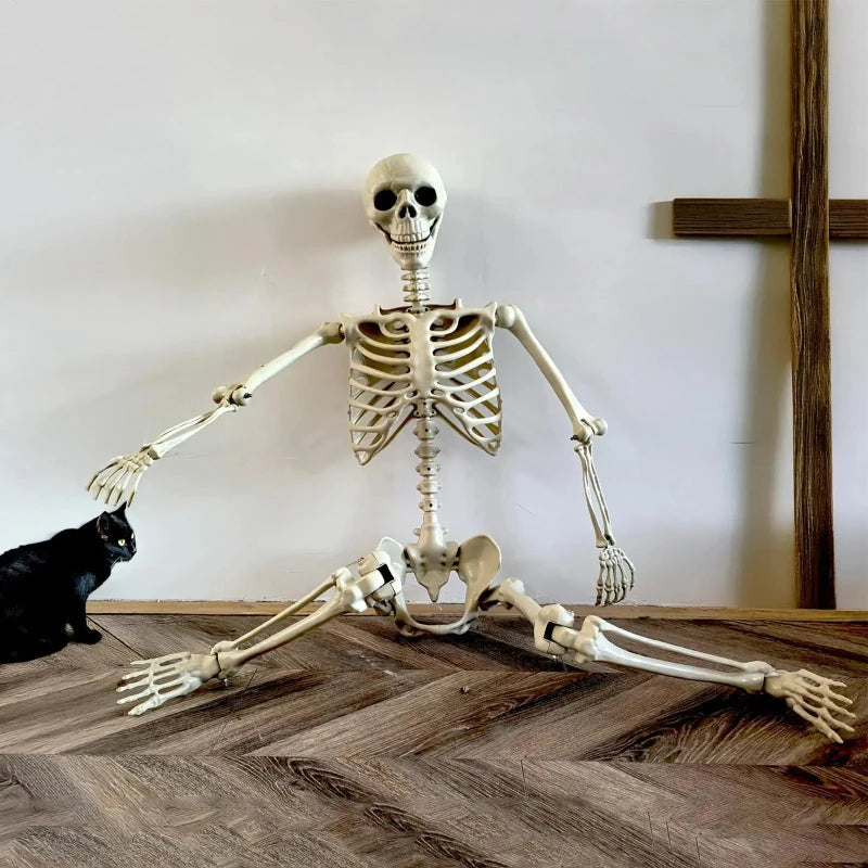 Halloween Realistic Body Bones Life Size Human Skeleton with Posable Joints Simulation Skull Ornament Haunted House Horror Props