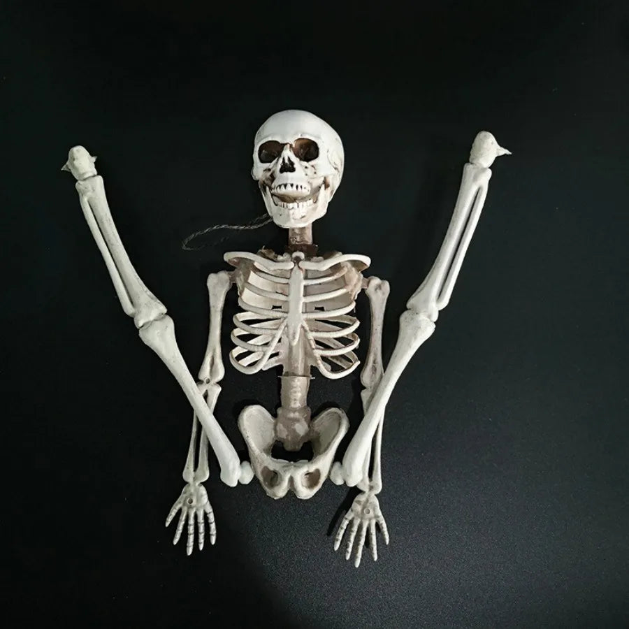 40cm Halloween Skull Skeleton,Posable SkeletonHuman Shape Bones Party Home Haunted House Horror Decorations Props