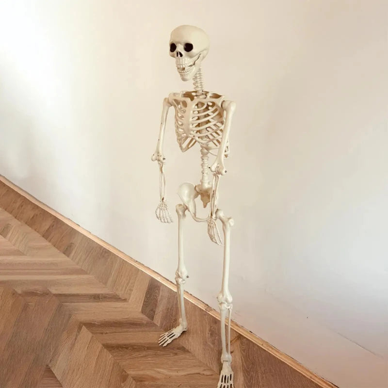 Halloween Skeleton Life Size Human Skeleton With Posable Joints Weather-Resistant Outdoor Decorations Spooky Photo Props Party