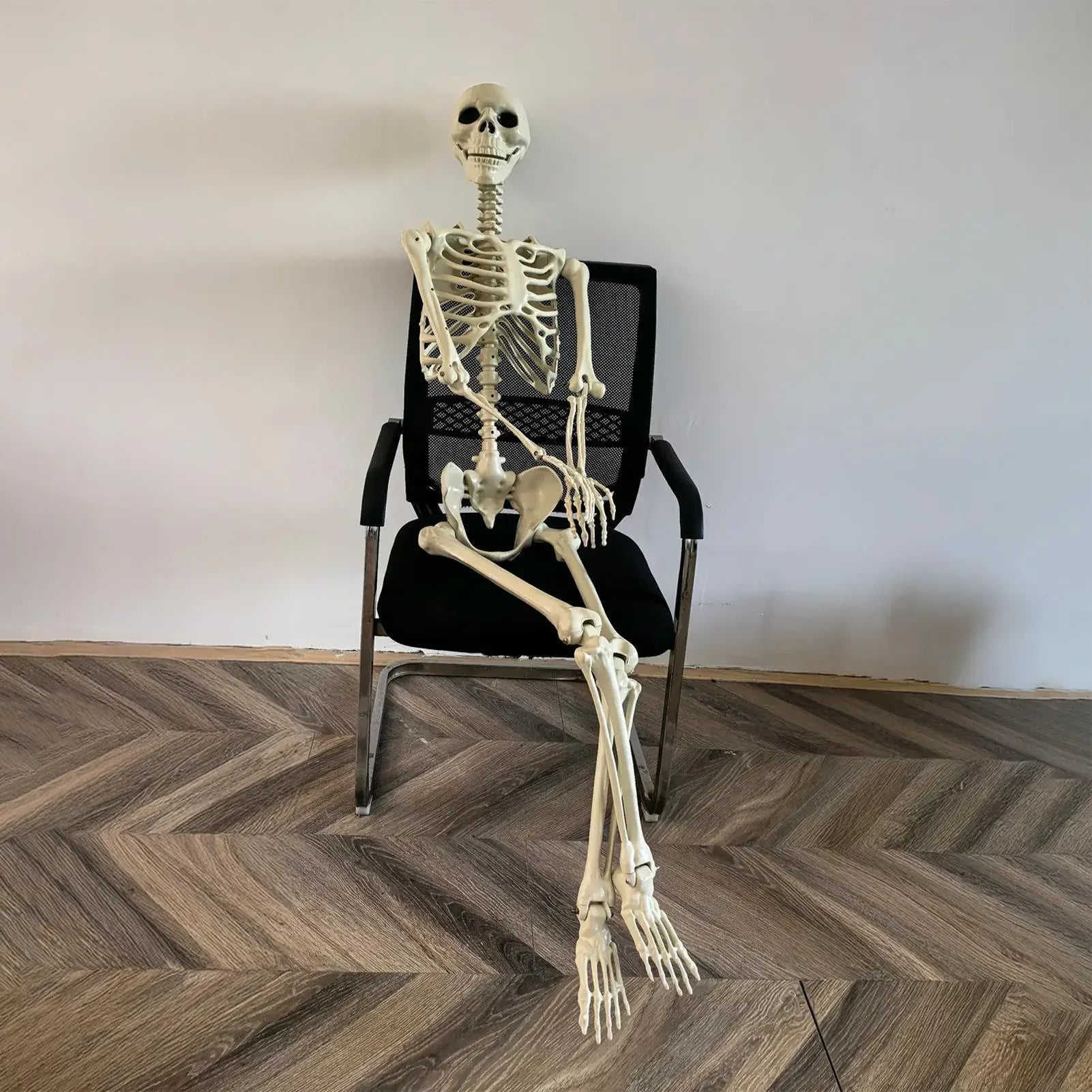 Halloween Realistic Body Bones Life Size Human Skeleton with Posable Joints Simulation Skull Ornament Haunted House Horror Props