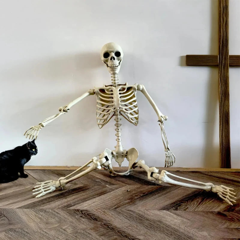 Halloween Skeleton Life Size Human Skeleton With Posable Joints Weather-Resistant Outdoor Decorations Spooky Photo Props Party